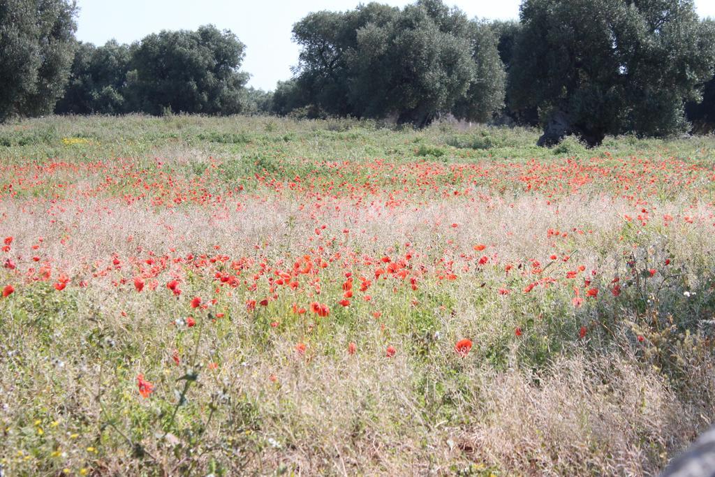 Masseria Valente ออสตูนี ภายนอก รูปภาพ