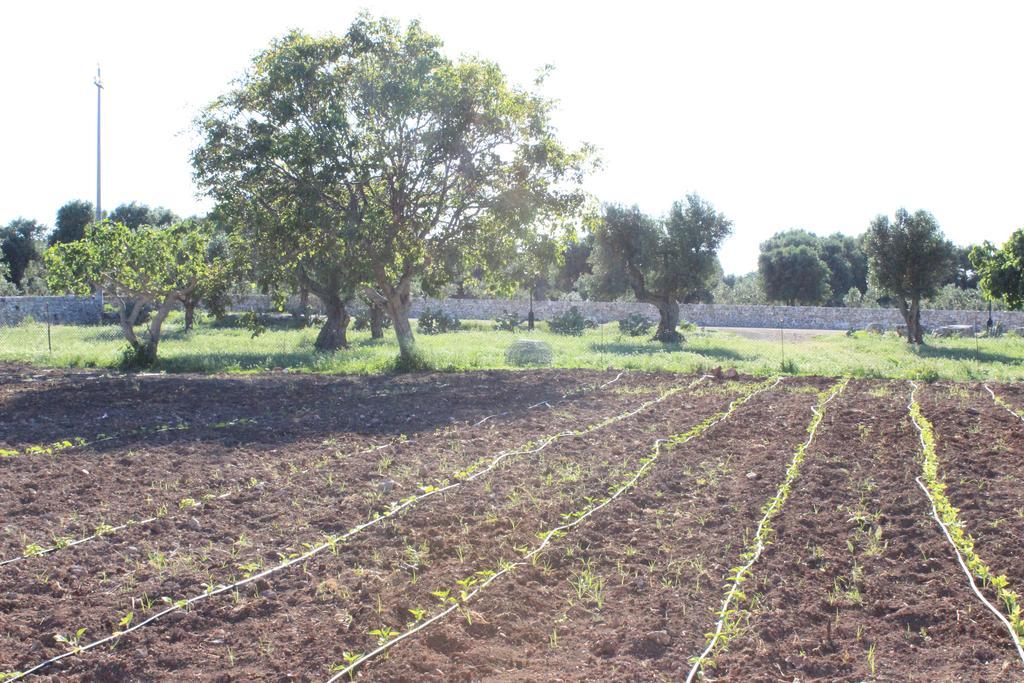 Masseria Valente ออสตูนี ภายนอก รูปภาพ