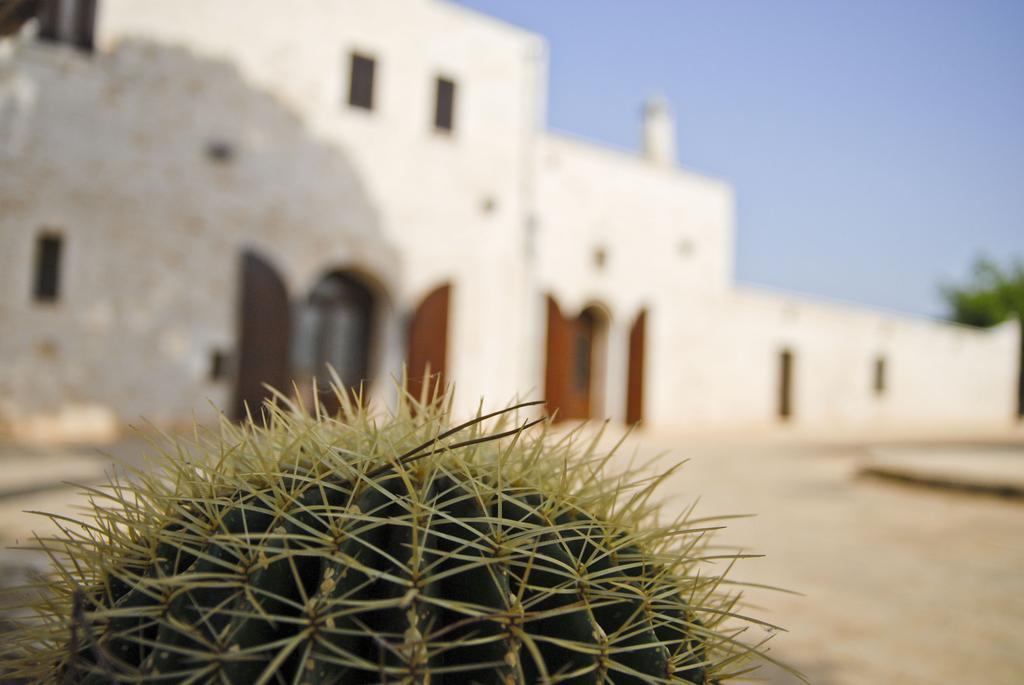 Masseria Valente ออสตูนี ห้อง รูปภาพ
