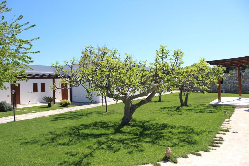 Masseria Valente ออสตูนี ภายนอก รูปภาพ